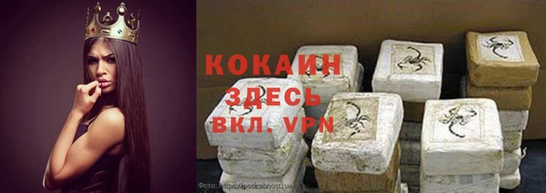 гашик Алзамай