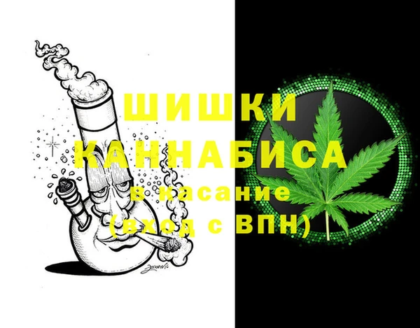 гашик Алзамай