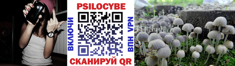 наркотики  Грязовец  Галлюциногенные грибы MAGIC MUSHROOMS 